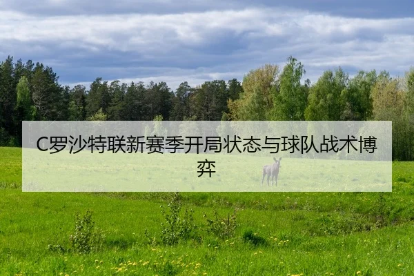 C罗沙特联新赛季开局状态与球队战术博弈