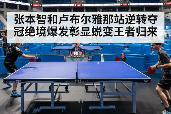 张本智和卢布尔雅那站逆转夺冠绝境爆发彰显蜕变王者归来