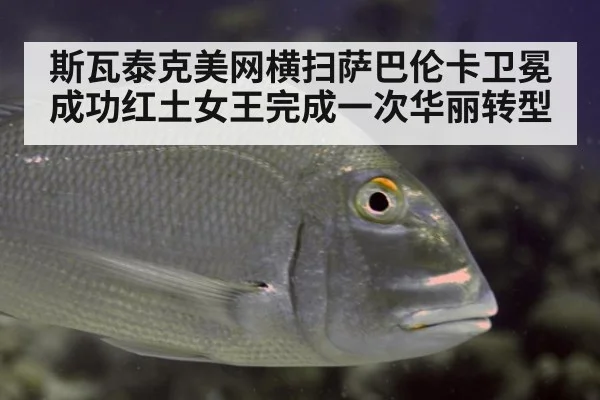 斯瓦泰克美网横扫萨巴伦卡卫冕成功红土女王完成一次华丽转型